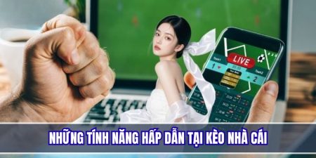 Dễ dàng tra cứu và cập nhật tỷ lệ kèo bóng đá chuẩn xác