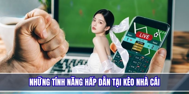 Dễ dàng tra cứu và cập nhật tỷ lệ kèo bóng đá chuẩn xác