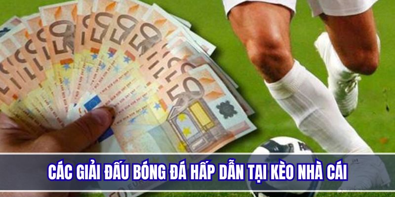 Những giải đấu bóng đá được cung cấp tại trang soi kèo nhà cái